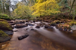 Autumn at Devil's Glen