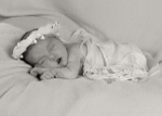 Willow 9
