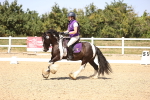 SBM_012330_Novice 5 - 1305-1436