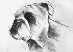 open edition prints portfolio