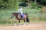 WJ7_7464