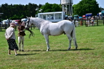 SBM_03881