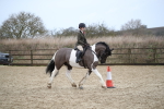 SBM_007952