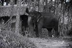 Krabi Oct03 239BW