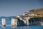 Old Harry and Friends