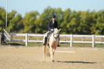 SBM_001353