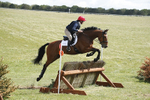 BVHT 140517  IXC -261
