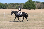 WJ6_8827