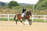 SBM_000585