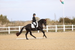 SBM_009628