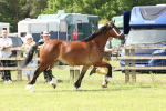 SBM_02338