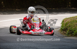 GKMC Hillclimb_02-08-2020_KART-39