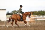 SBM_00669
