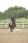 SBM_000868