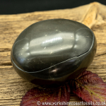 Polished Whitby Ammonite Nodule 036