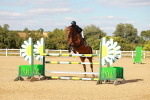 SBM_007755