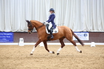 SBM_007870