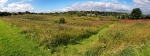 Manor Fields Park #12
