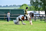 SBM_11605