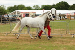SBM_04281