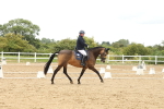 SBM_008870