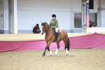 SBM_08946