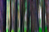Tree - 0577 motion blur