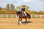 SBM_003234