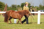 DSC04517