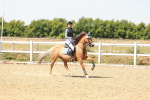 SBM_002172