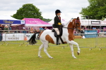 SBM_02570