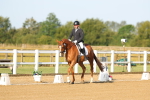SBM_010502