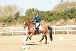 SBM_017310