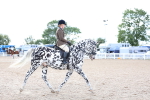 SBM_17245
