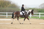 SBM_000653
