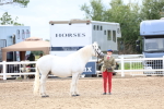 SBM_05829