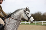SBM_006969