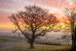 February Sunrise