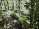 078  Our pathway alongside of the powerful Fell Beck