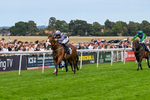 300826-Race 5-Harb-1105