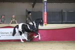 SBM_02879