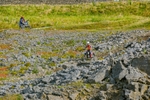 DSCF8951