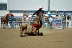 3HRodeo8-11-25_PRCASteer_06784_