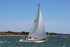 130601 OPTION GBR3552T WT7A9219_Edit