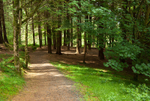 Gortin Glen (08060103)