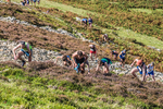 Loweswater Show-266