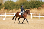 SBM_016653