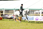 SBM_11954