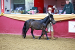 SBM_15990
