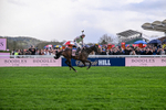 130326-Race 5-Gaelic Warrior-2642